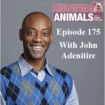 Knowing Animals podcast cover art