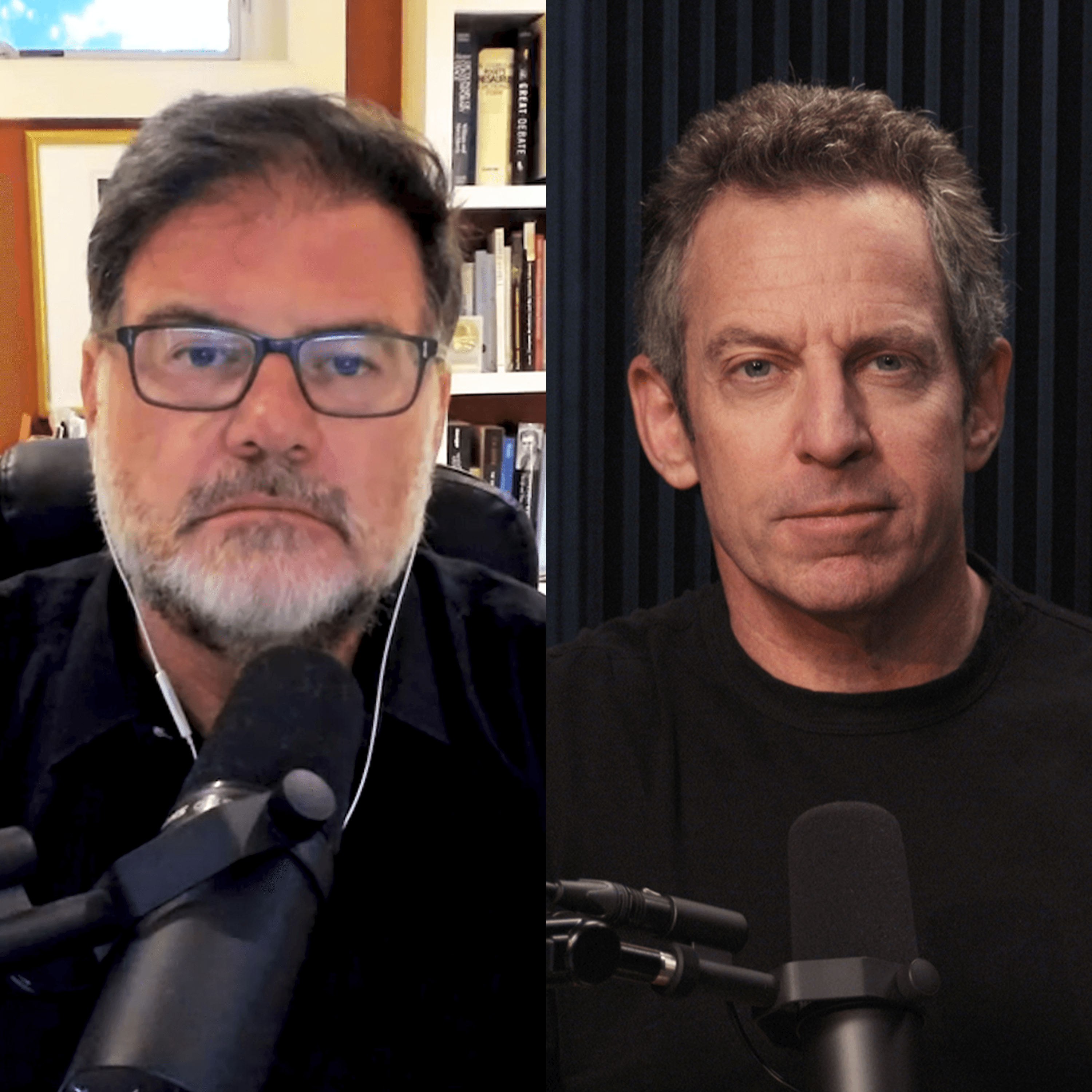 Making Sense with Sam Harris podcast cover art