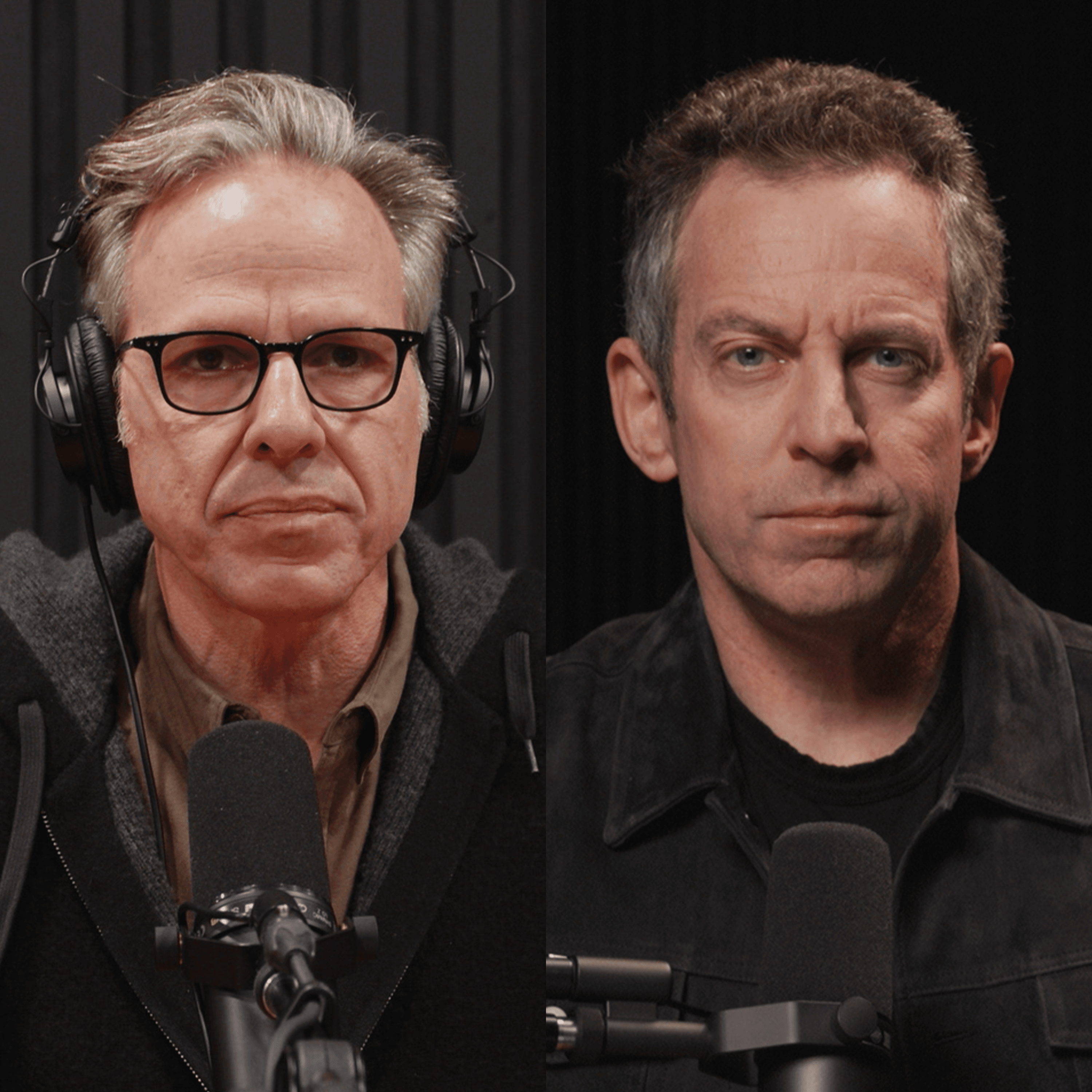 Making Sense with Sam Harris podcast cover art