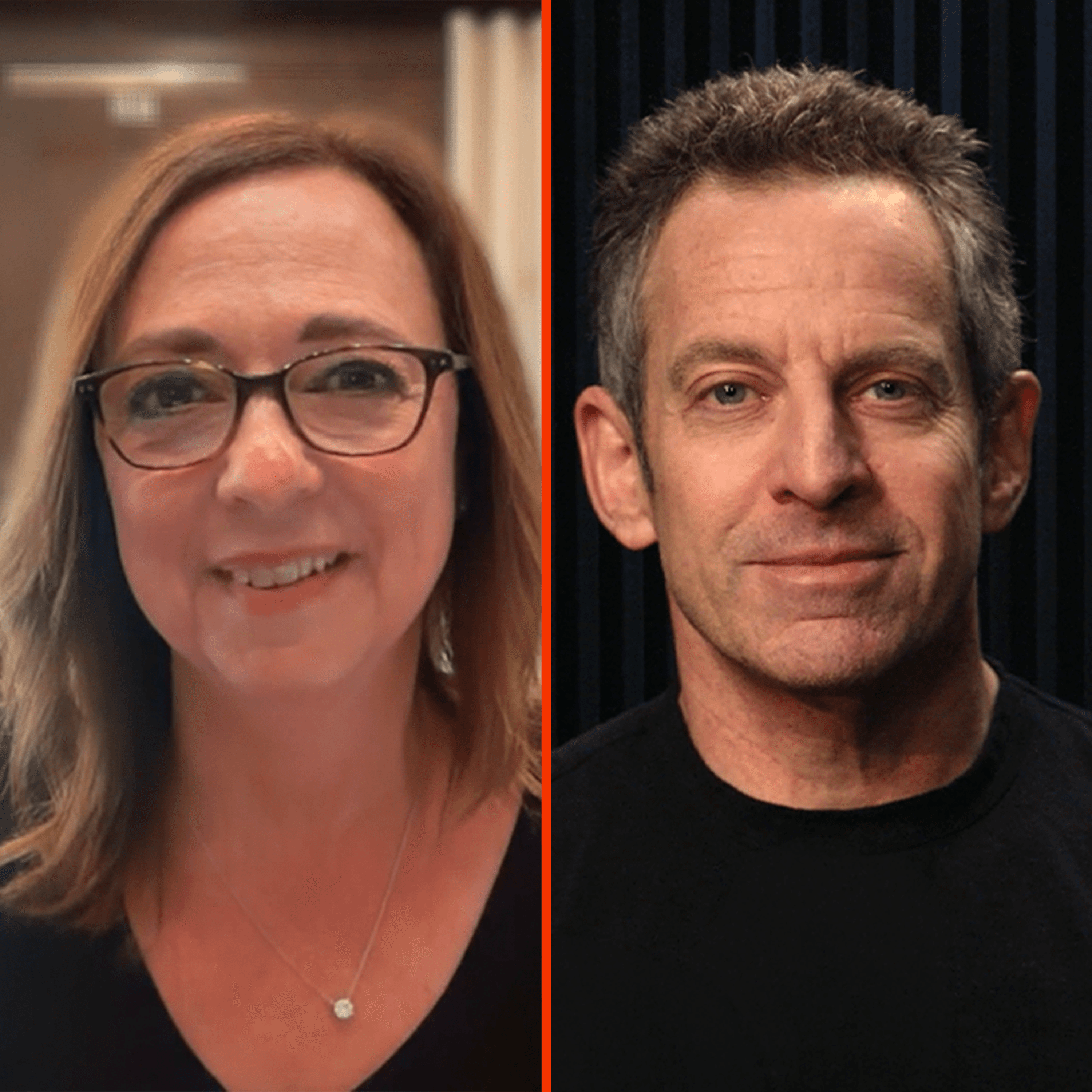 Making Sense with Sam Harris podcast cover art