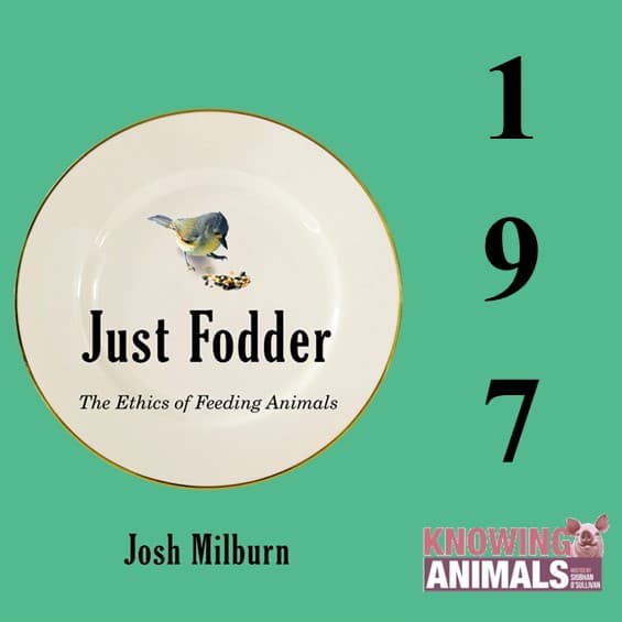 Knowing Animals podcast cover art