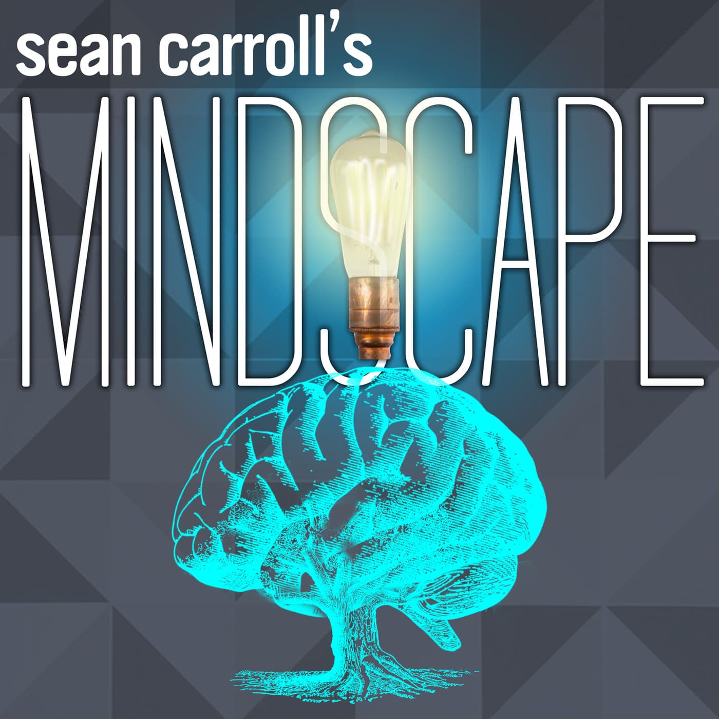 Sean Carroll's Mindscape: Science, Society, Philosophy, Culture, Arts, and Ideas podcast cover art