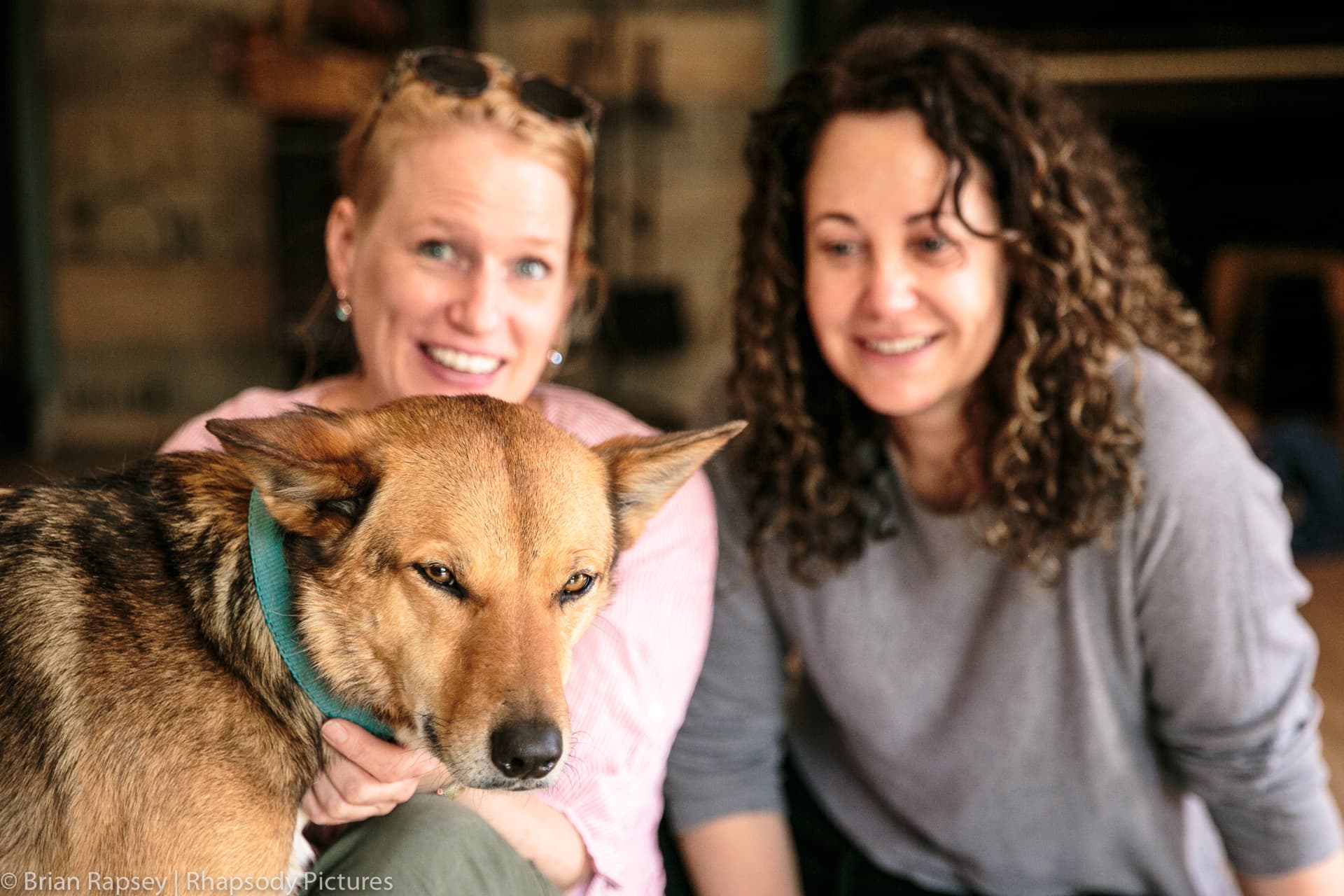 Knowing Animals podcast cover art
