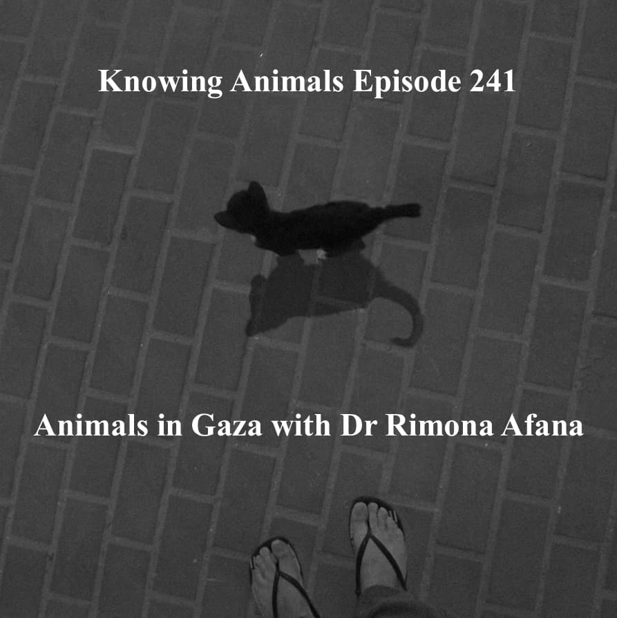 Knowing Animals podcast cover art