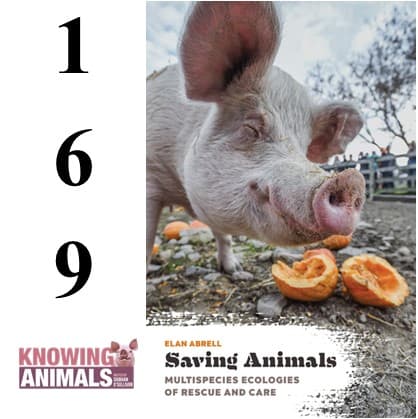 Knowing Animals podcast cover art