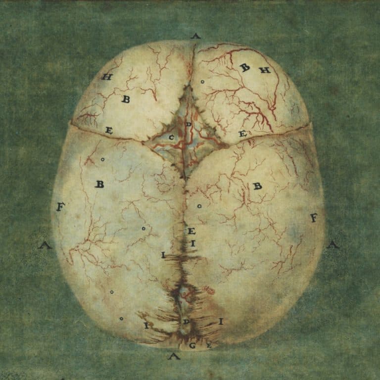 Many Minds podcast cover art