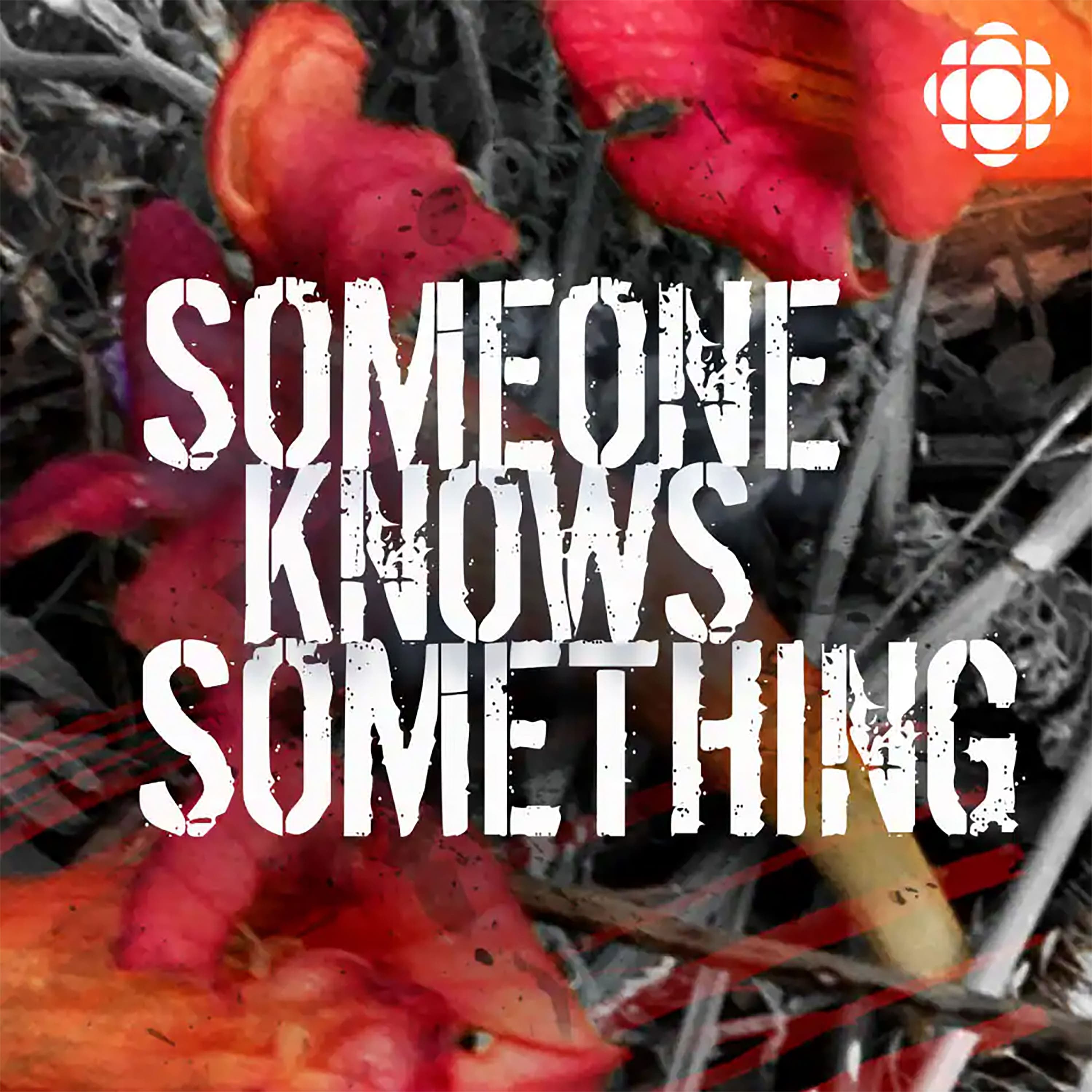 Someone Knows Something podcast cover art