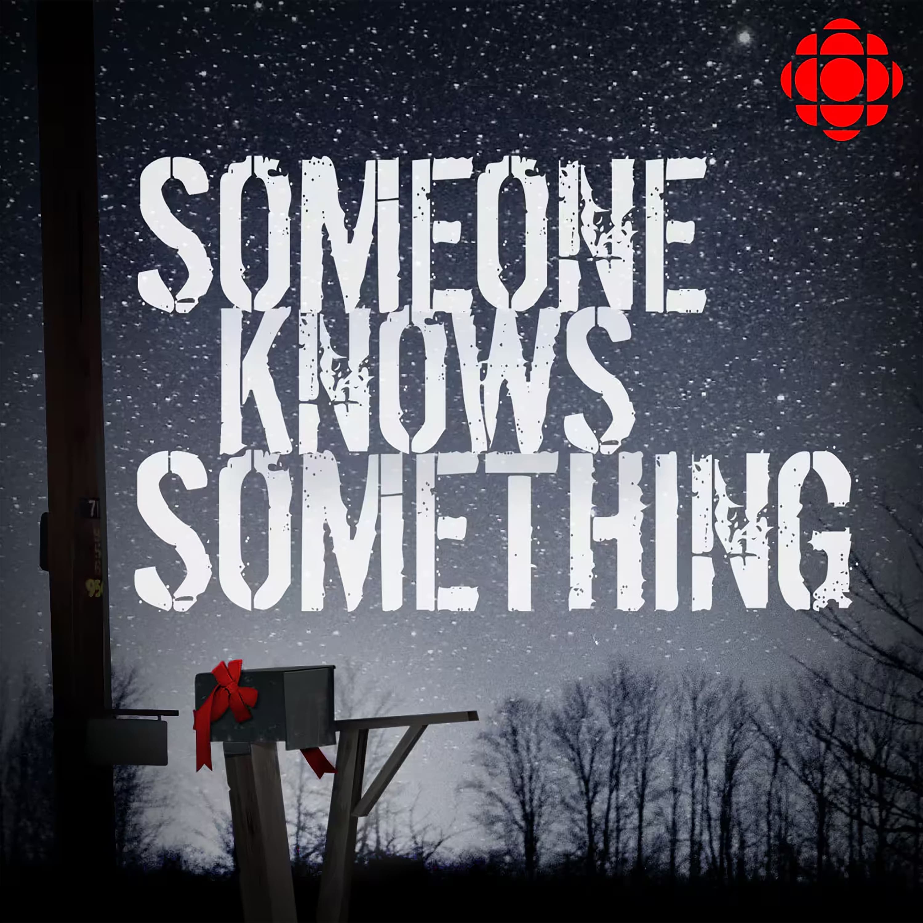 Someone Knows Something podcast cover art
