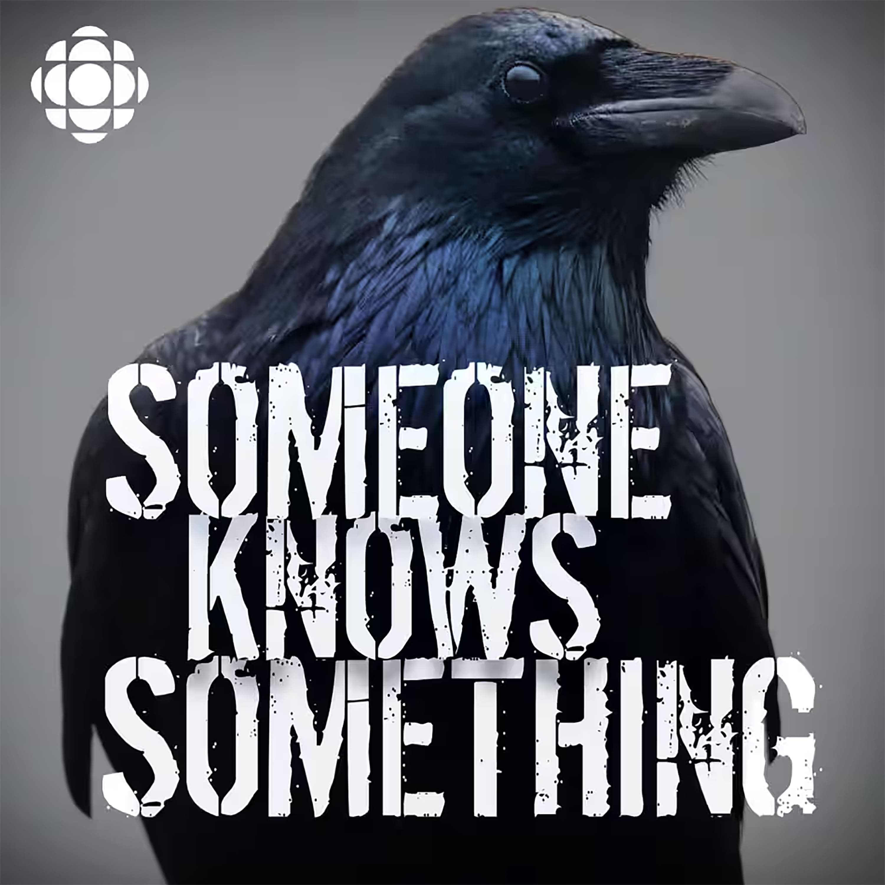 Someone Knows Something podcast cover art