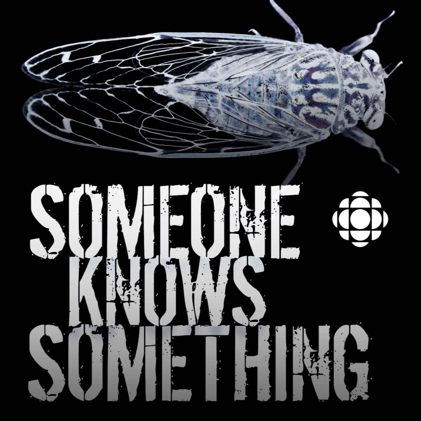 Someone Knows Something podcast cover art