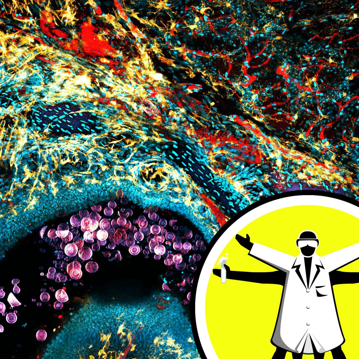 The Naked Scientists Podcast cover art