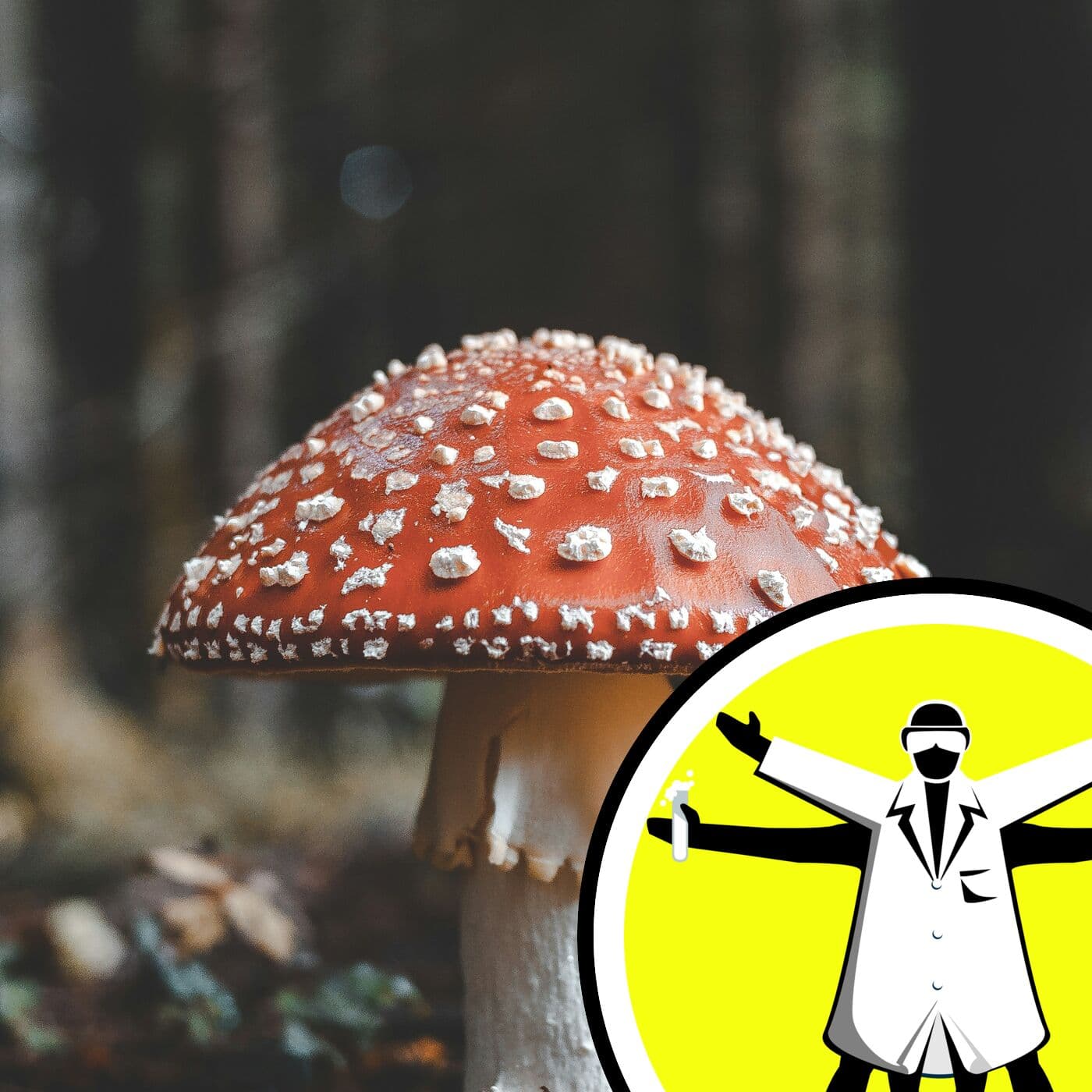 The Naked Scientists Podcast cover art