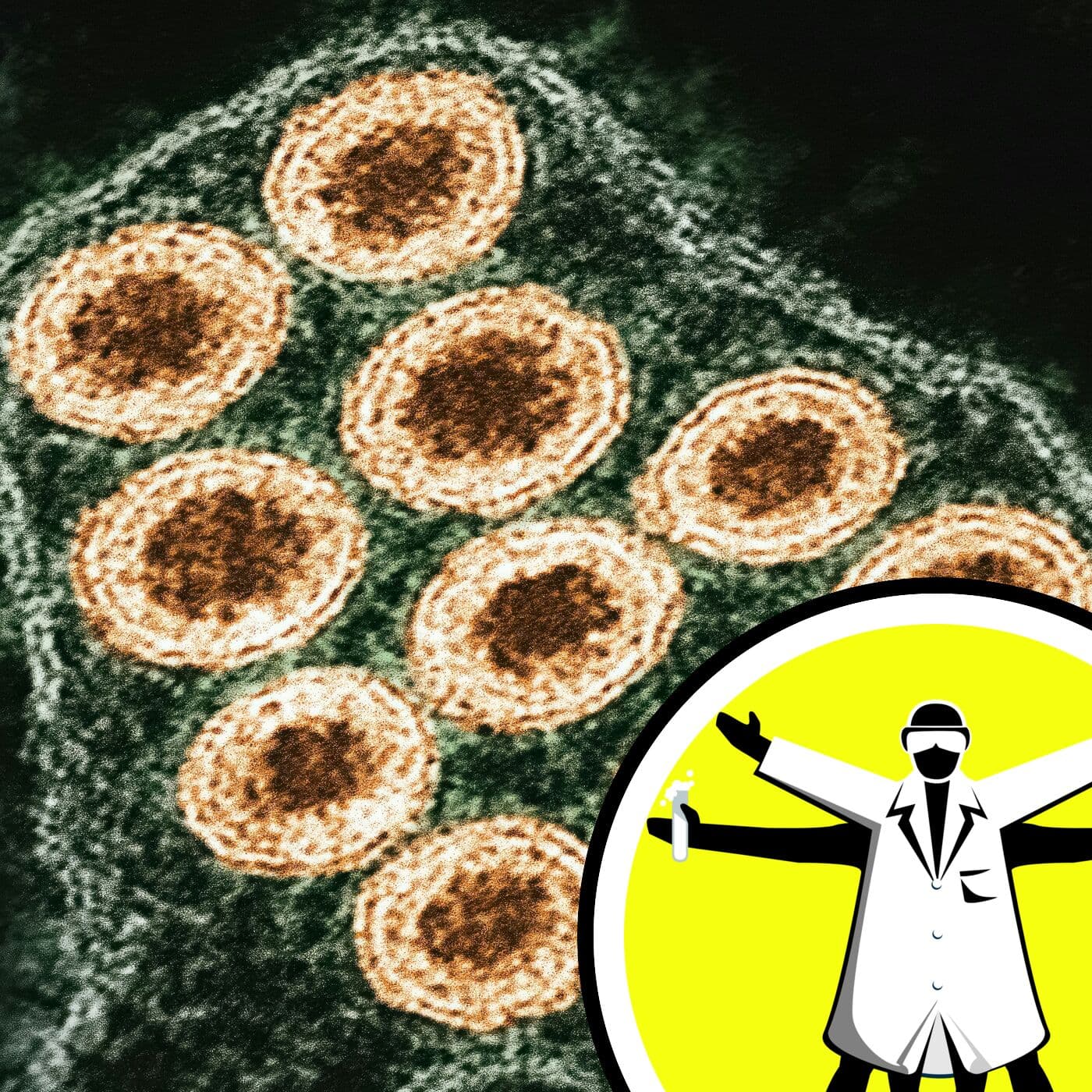 The Naked Scientists Podcast cover art