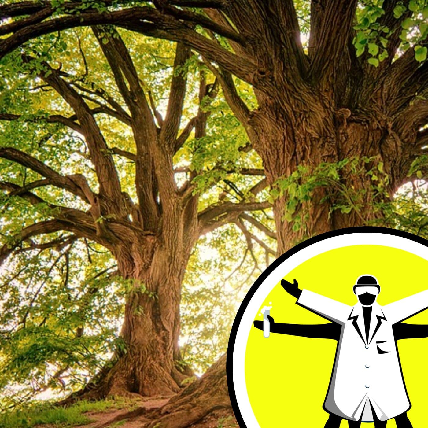The Naked Scientists Podcast cover art