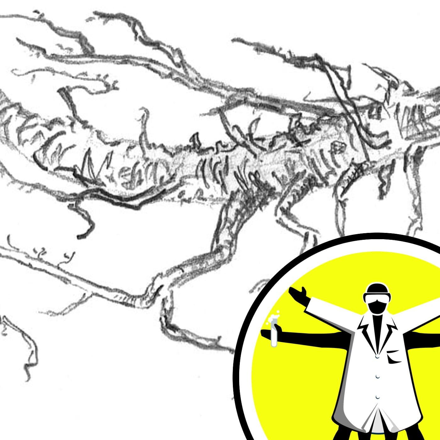 The Naked Scientists Podcast cover art