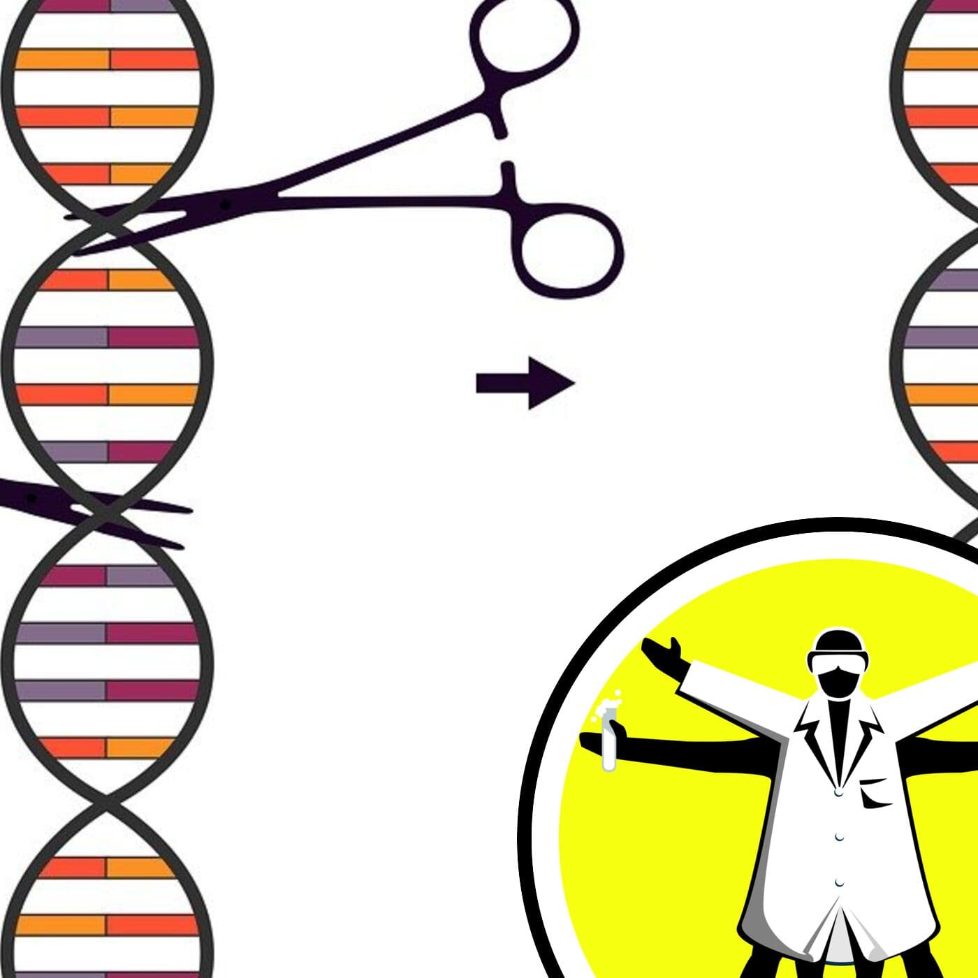 The Naked Scientists Podcast cover art